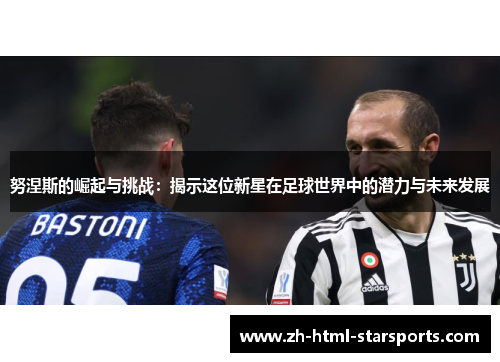 努涅斯的崛起与挑战：揭示这位新星在足球世界中的潜力与未来发展